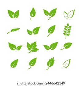 Green leaf icons set. Elements design for natural, eco, vegan. Leaves icon on isolated background. Collection green leaf. Vector