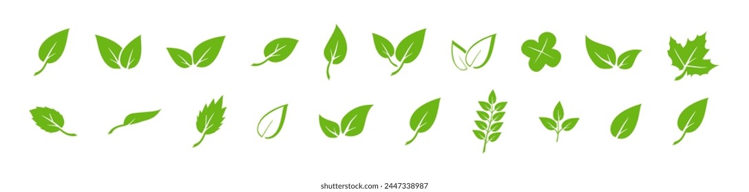 Conjunto de iconos de hoja verde. Elementos de diseño para natural, eco, vegano. Deja el icono en el fondo aislado. Hoja verde colección. Vector