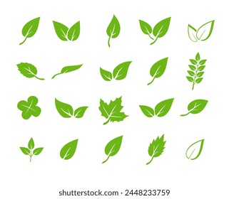 Green leaf icons set. Elements design for natural, eco, vegan. Leaves icon on isolated background. Collection green leaf. Vector