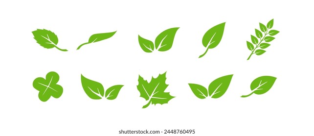 Conjunto de iconos de hoja verde. Elementos de diseño para natural, eco, vegano. Deja el icono en el fondo aislado. Hoja verde colección. Vector