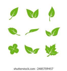 Green leaf icons set. Elements design for natural, eco, vegan. Leaves icon on isolated background. Collection green leaf. Vector