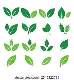 Green leaf icons set. Green leaf icons in flat style. Leaves icon on isolated background. Collection green leaf. Elements design for natural, eco, vegan, bio labels.