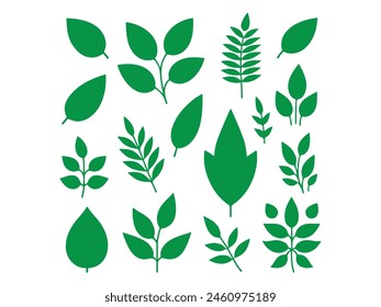 Green leaf icons are set isolated on a white background.
