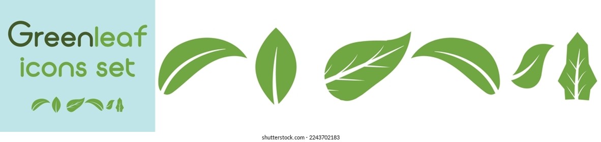 Green leaf icons set. Leafs green color icon logo. Green leaf nature element. Leaf green collection.