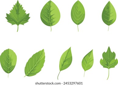 Green leaf icons set. Leaves icon on isolated background. Collection green leaf. Elements design for natural, eco, vegan, bio labels