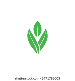 Grüne Blatt-Symbole gesetzt. Belässt das Symbol auf isoliertem Hintergrund. Kollektion grünes Blatt. Elemente Design für natürliche, ökologische, vegane, Bio-Labels. Vektorillustration .Blatt-Symbol Vektorgrafik, Farbe, Abbildung,