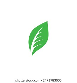 Grüne Blatt-Symbole gesetzt. Belässt das Symbol auf isoliertem Hintergrund. Kollektion grünes Blatt. Elemente Design für natürliche, ökologische, vegane, Bio-Labels. Vektorillustration .Blatt-Symbol Vektorgrafik, Farbe, Abbildung,
