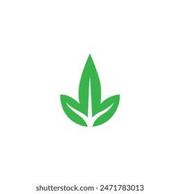 Green leaf icons set. Leaves icon on isolated background. Collection green leaf. Elements design for natural, eco, vegan, bio labels. Vector illustration .leaf icon vector, color, illustration,