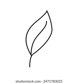 Green leaf icons set. Leaves icon on isolated background. Collection green leaf. Elements design for natural, eco, vegan, bio labels. Vector illustration .leaf icon vector, color, illustration,