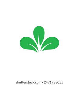 Green leaf icons set. Leaves icon on isolated background. Collection green leaf. Elements design for natural, eco, vegan, bio labels. Vector illustration .leaf icon vector, color, illustration,