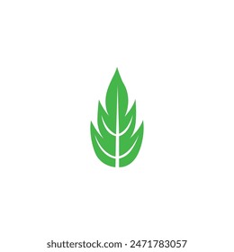 Conjunto de iconos de hoja verde. Deja el icono en el fondo aislado. Hoja verde colección. Elementos de diseño para etiquetas naturales, ecológicas, veganas, bio. Ilustración vectorial .leaf icono Vector, color, ilustración,
