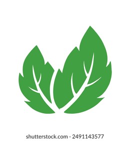 Green leaf icons set. Leaves icon on isolated background. Collection green leaf. Elements design for natural, eco, vegan, bio labels.