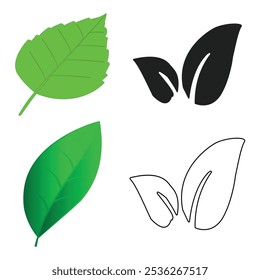  Conjunto de iconos de hoja verde. Icono de hojas sobre fondo aislado. Hoja verde colección. Diseño de Elementos para EPS natural y de Ilustración vectorial