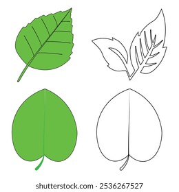  Green leaf icons set. Leaves icon on isolated background. Collection green leaf. Elements design for natural, Vector illustration EPS