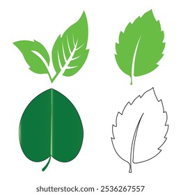 Conjunto de iconos de hoja verde. Icono de hojas sobre fondo aislado. Hoja verde colección. Diseño de Elementos para EPS natural y de Ilustración vectorial