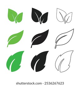  Green leaf icons set. Leaves icon on isolated background. Collection green leaf. Elements design for natural, Vector illustration EPS