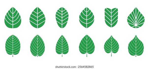 Green leaf icons set. Leaves icon on isolated background. Collection green leaf. Elements design for natural, eco, vegan, bio labels. Vector illustration EPS 10