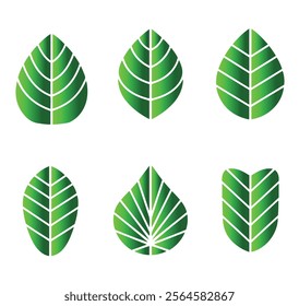 Green leaf icons set. Leaves icon on isolated background. Collection green leaf. Elements design for natural, eco, vegan, bio labels. Vector illustration EPS 10