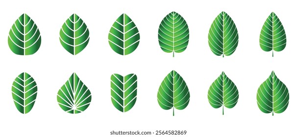 Green leaf icons set. Leaves icon on isolated background. Collection green leaf. Elements design for natural, eco, vegan, bio labels. Vector illustration EPS 10