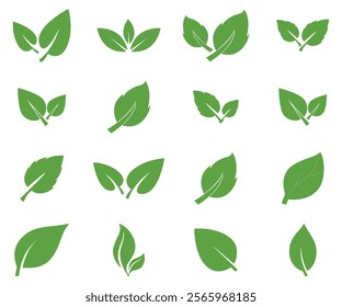 Green leaf icons set. Leaves icon on isolated background. Collection of green leaf. Elements design for natural, eco, bio labels. Green leaf ecology nature element vector icon set, Leaf Icon pack.