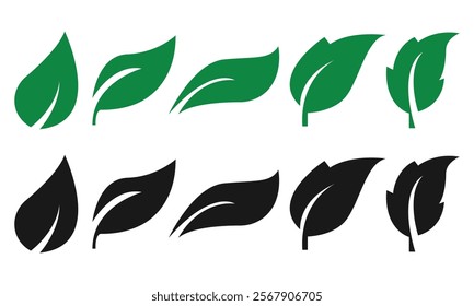 Green leaf icons set. Leaves icon on isolated background. Collection green leaf. Elements design for natural.