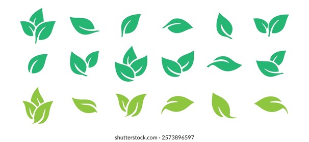 Green leaf icons set. Leaves icon on isolated background. Collection green leaf. Elements design for natural, eco, vegan, bio labels. Vector illustration EPS 10