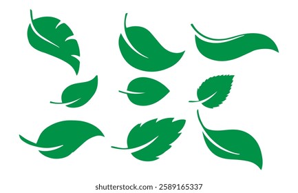 Green leaf icons set. Leaves icon on isolated background. Collection green leaf. Elements design for natural, eco, vegan, bio labels. Vector illustration EPS 10