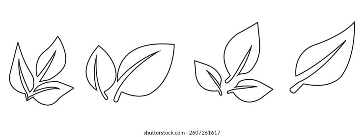 Green leaf icons set. Leaves icon on isolated background. Collection green leaf. Elements design for natural, eco, vegan, bio labels. Vector illustration 