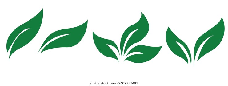 Green leaf icons set. Leaves icon on isolated background. Collection green leaf. Elements design for natural, eco, vegan, bio labels. Vector illustration