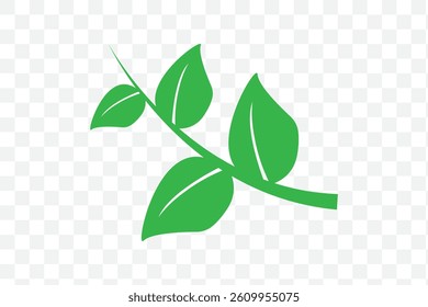 Green leaf icons set. Leaves icon on isolated background. Collection green leaf. Elements design for natural, eco, vegan, bio labels on Transparent Background.  Vector illustration EPS 10.