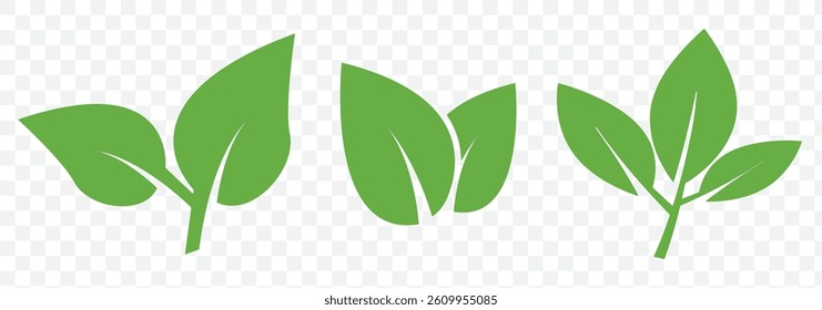 Green leaf icons set. Leaves icon on isolated background. Collection green leaf. Elements design for natural, eco, vegan, bio labels on Transparent Background.  Vector illustration EPS 10.