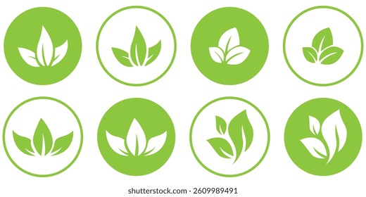 Green leaf icons set. Leaves icon on transparent background. Collection green leaf. Elements design for natural, eco, vegan, bio labels.