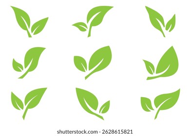 Conjunto de ícones de folha verde. Deixa o ícone em um plano de fundo isolado. Coleção folha verde. Elementos de design para natural, eco, vegan, rótulos biológicos. Ilustração vetorial EPS 10 