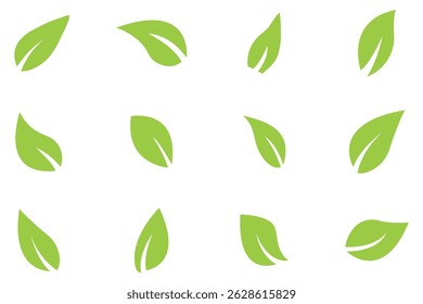 Green leaf icons set. Leaves icon on isolated background. Collection green leaf. Elements design for natural, eco, vegan, bio labels. Vector illustration EPS 10 