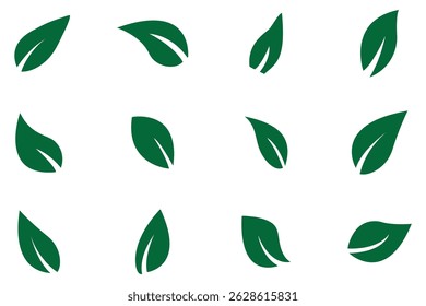 Green leaf icons set. Leaves icon on isolated background. Collection green leaf. Elements design for natural, eco, vegan, bio labels. Vector illustration EPS 10 