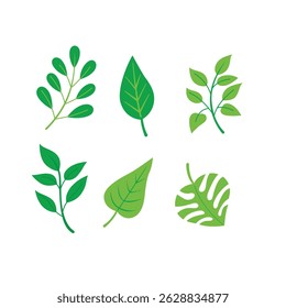 Green leaf icons set. Leaves icon on isolated background. Collection green leaf.