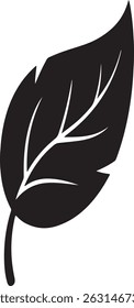 Green leaf icons set. Leaves icon on transparent background. Collection green leaf.