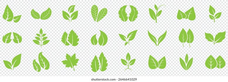 Conjunto de iconos de hoja verde. Icono de hojas sobre fondo aislado. Hoja verde colección. Diseño de Elementos para etiquetas naturales, eco, veganas, bio. Ilustración vectorial EPS 10
