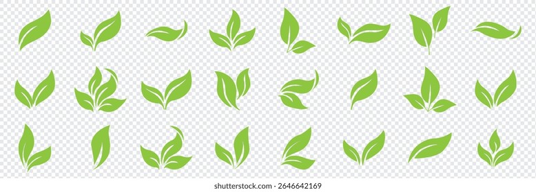 Green leaf icons set. Leaves icon on isolated background. Collection green leaf. Elements design for natural, eco, vegan, bio labels. Vector illustration EPS 10