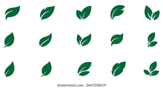 Green leaf icons set. Leaves icon on isolated background. Collection green leaf. Elements design for natural, eco, vegan, bio labels. Design EPS10