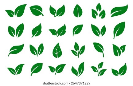 Conjunto de ícones de folha verde. Deixa o ícone em um plano de fundo isolado. Coleção folha verde. Elementos de design para natural, eco, vegan, rótulos biológicos. Ilustração vetorial