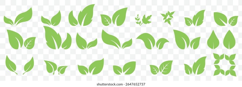 Green leaf icons set. Leaves icon on isolated background. Collection green leaf. Elements design for natural, eco, vegan, bio labels. Vector illustration on Transparent Background. EPS 10.