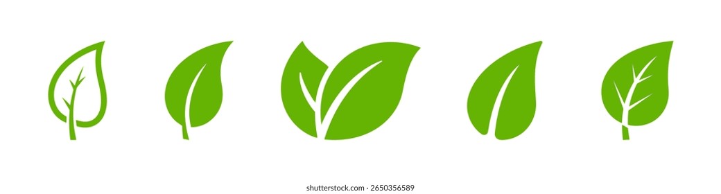 Green leaf icons set. Leaves collection. Natural, eco, vegan, bio labels.