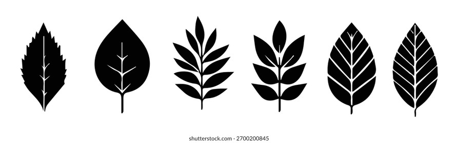 Green leaf icons set. Leaves icon on isolated background. Collection green leaf. Elements design for natural, eco, vegan, bio labels