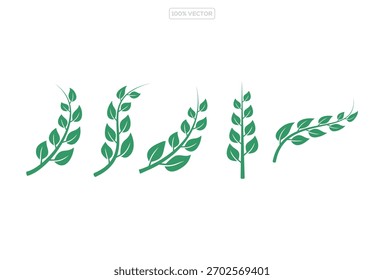 Green leaf icons set. Leaves icon on transparent background. Collection green leaf. Elements 