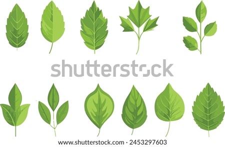 Green leaf icons set. Leaves icon on isolated background. Collection green leaf. Elements design for natural, eco, vegan, bio labels