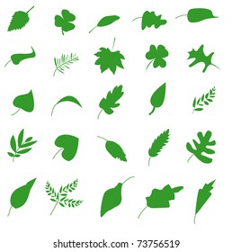 Green leaf icons set. Nature & ecology image.