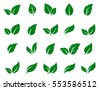 leaves vector abstract