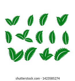 green leaf icons set on white background