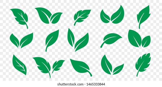 Green leaf icons set on white background. Vector vegetarian, vegan, eco and organic herbal logo labels